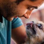 Tráfico de animales