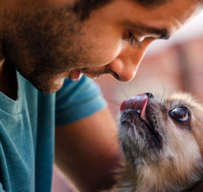 Tráfico de animales