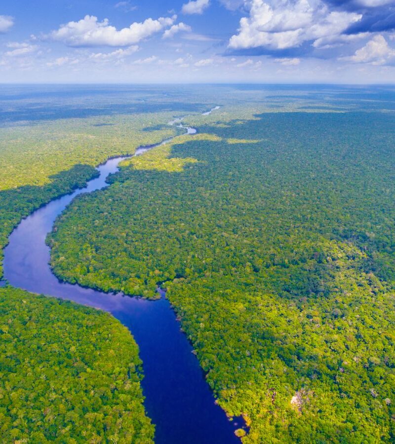 Amazonas